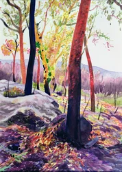 Sobrevivientes del incendio forestal, Sídney, 1994